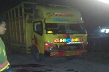 Truk pengangkut ayam dirampok di Mesuji, pengemudi tewas ditembak