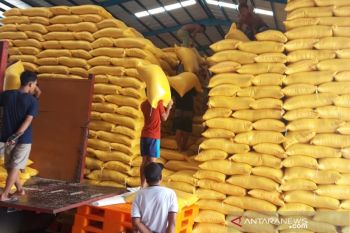Stok beras Bulog Sultra dapat memenuhi kebutuhan enam bulan