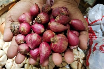Lampung bakal gelar OP untuk stabilkan harga