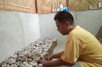 Petani jamur di Solok kewalahan penuhi permintaan saat pandemi COVID-19
