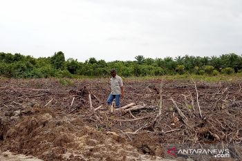 Satu perusahaan tambak udang vaname di Agam baru ajukan izin