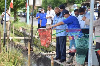 Pemkab Bantul berharap budidaya mina padi dikembangkan berkelanjutan