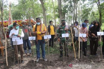 Pemprov NTT sebut air jadi masalah pengembangan tanaman jagung