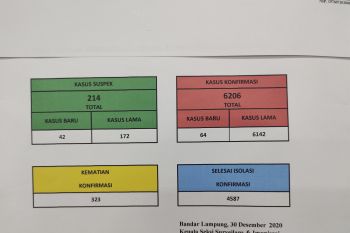 Kasus COVID-19 Lampung bertambah 64 orang total 6.206