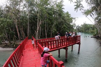 Pemenang desa wisata Bengkulu jadi percontohan pengembangan objek wisata