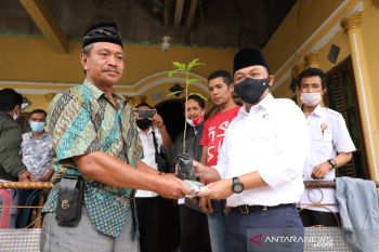 Dinas Pertanian Bantaeng merancang objek wisata kebun buah