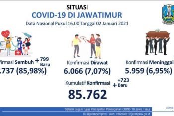 Epidemiolog Unair: Daerah tegakkan kembali aturan kendalikan kasus COVID-19