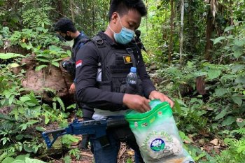 Bea Cukai gandeng TNI-AD patroli bersama di perbatasan RI-PNG