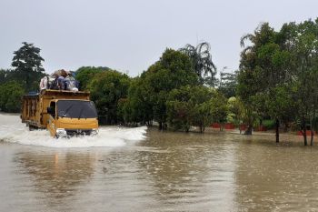Sejumlah jalan utama di  Batam terendam banjir