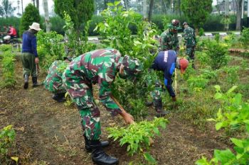 Satgas Yonif MR 413 bercocok tanam di perbatasan RI-PNG