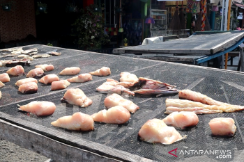 Selama 2020 nelayan Pariaman produksi 208,5 ton ikan olahan