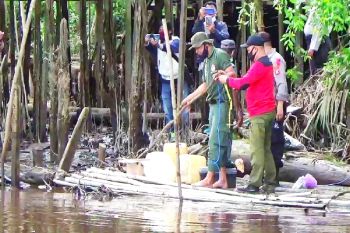 Membuang sampah di sungai pemicu buaya sasar permukiman