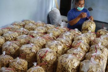 Pelaku UKM industri turunan tempe keluhkan kenaikan harga bahan baku