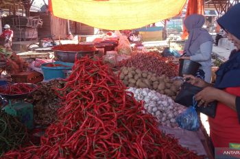 Harga bawang bergerak naik di Agam sejak awal 2021