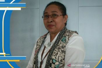 Penumpang angkutan udara Papua tercatat 76.150 orang