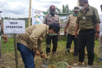 Sinergi PTPN V-BBKSDA Riau bentuk Tim Mitigasi Gajah Sumatera