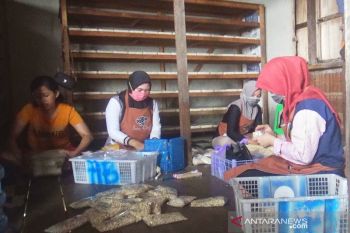 Begini cara pembuat tahu di Kapuas menyiasati kenaikan harga kedelai