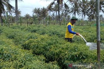 Sinergi petani dan pemerintah mengelola hasil panen pada masa pandemi