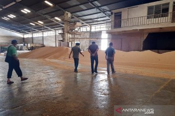 Satgas Pangan: Penimbun bahan pokok didenda Rp50 miliar