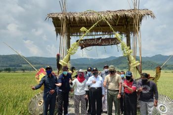 DPRD Kulon Progo minta persawahan Pronosatan menjadi kawasan agrobisnis