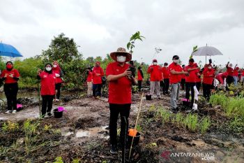 PDIP Kobar tanam ribuan pohon di kawasan Sungai Bedara