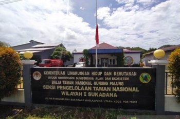 BTNGP Sukadana pasang bendera setengah tiang penghormatan pegawai korban Sriwijaya