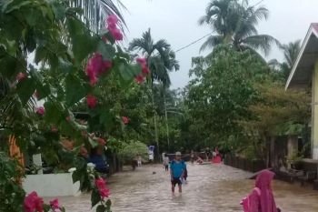 150 rumah warga Bungus Teluk Kabung terendam banjir