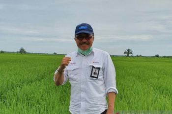 Bulog Riau Kepri serap 6.980 ton beras petani pada tahun 2020