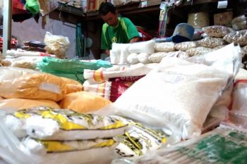 Wali Kota Palangka Raya dorong pelaku UKM optimalkan penjualan daring