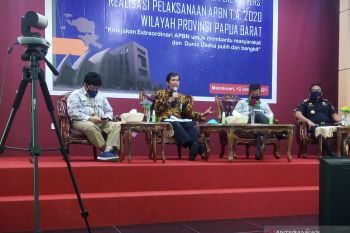 Pemerintah ingin ekonomi Papua Barat 2021 tumbuh maksimal di tengah pandemi