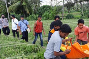 Sulit tarik jaring di tengah sawah, ternyata sesosok mayat lansia menindihnya