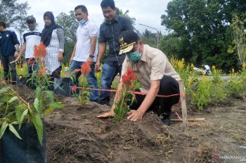 Taman bunga ternyata dukung Pariaman sebagai kota wisata