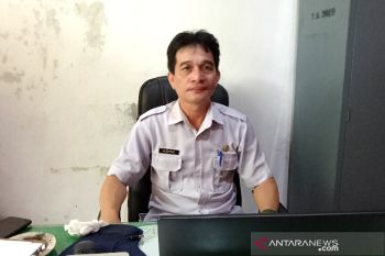 DSPMD Barsel susun draf perda dan perbup pilkades serentak