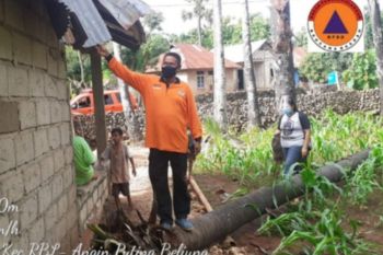 Dua rumah warga Rote Ndao rusak diterjang angin puting beliung
