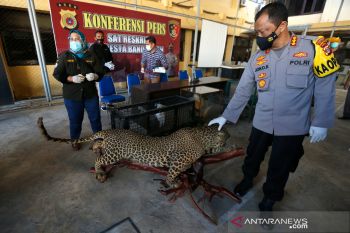 Polisi sita opsetan dan satwa langka di Banda Aceh