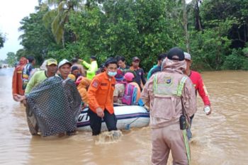BNPB: 21.990 jiwa terdampak banjir Tanah Laut Kalsel