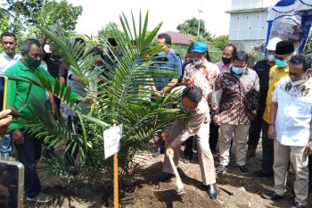 Pemkab Agam usulkan peremajaan kebun sawit seluas 2.830 hektare