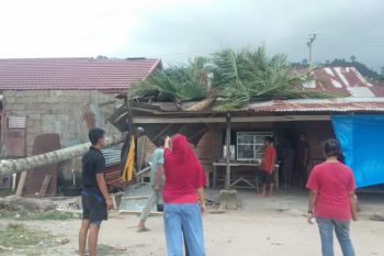 Pohon tumbang timpa rumah warga di Padang