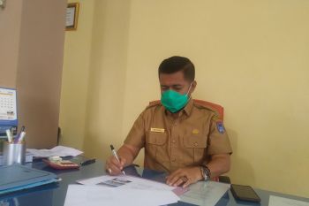 DKK Payakumbuh minta warga waspadai penyakit DBD di musim penghujan