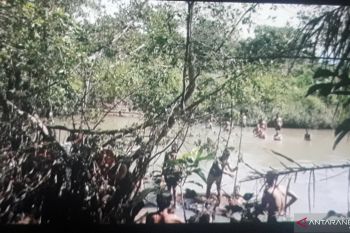 Pencarian korban diterkam buaya di Pasaman Barat terkendala air keruh (Video)