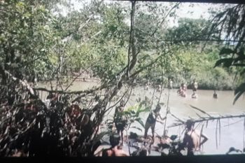 Pencarian korban diterkam buaya  terkendala air keruh
