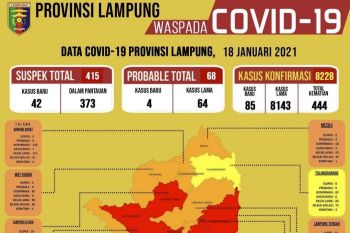 Lampung Barat masuk zona merah total ada 7 zona merah di Lampung
