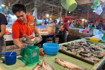 Pasokan berkurang, harga ikan di Palembang naik