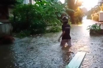 Belasan Rumah di Bandarlampung terendam air