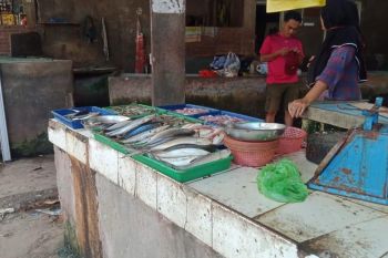 Angin kencang akibatkan pasokan ikan laut turun, harga naik