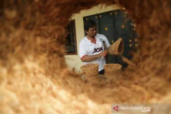 Pot Bunga dari Sabut Kelapa