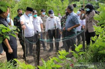 Penangkaran penyu Desa Guntung, Bangka Tengah, Kepri jadi wisata edukasi