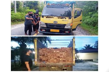 Polsek Gunung Timang amankan sopir angkut kayu keruing tanpa dokumen
