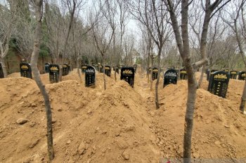 Pelaku tabrak lari santri Paiton di Shaanxi berikan santunan Rp1,8 miliar