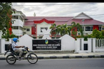 Pasien COVID-19 di Sulteng bertambah 200 orang-113 sembuh